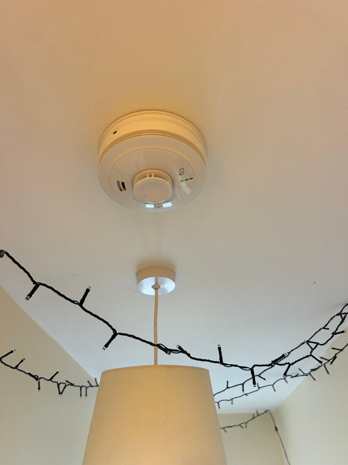 An EICR on a rental property in Honiton 19